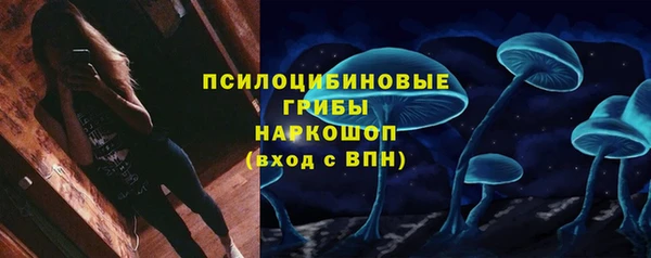 мяу мяу мука Алексеевка
