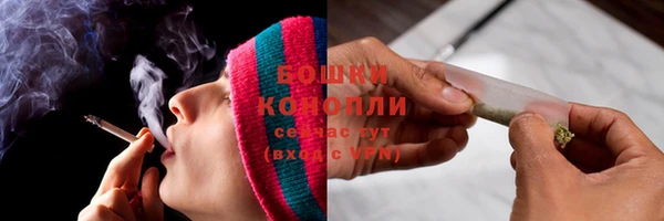 спиды Пересвет