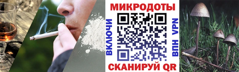 где купить   Северская  Галлюциногенные грибы ЛСД 